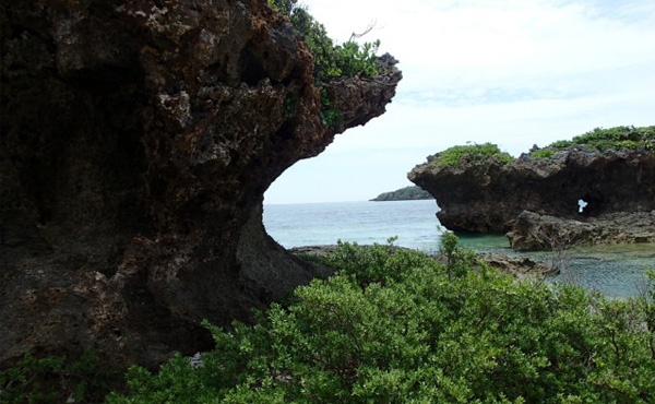 よゐこ濱口vsナスdの無人島0円生活 勝者は インフォダイブ